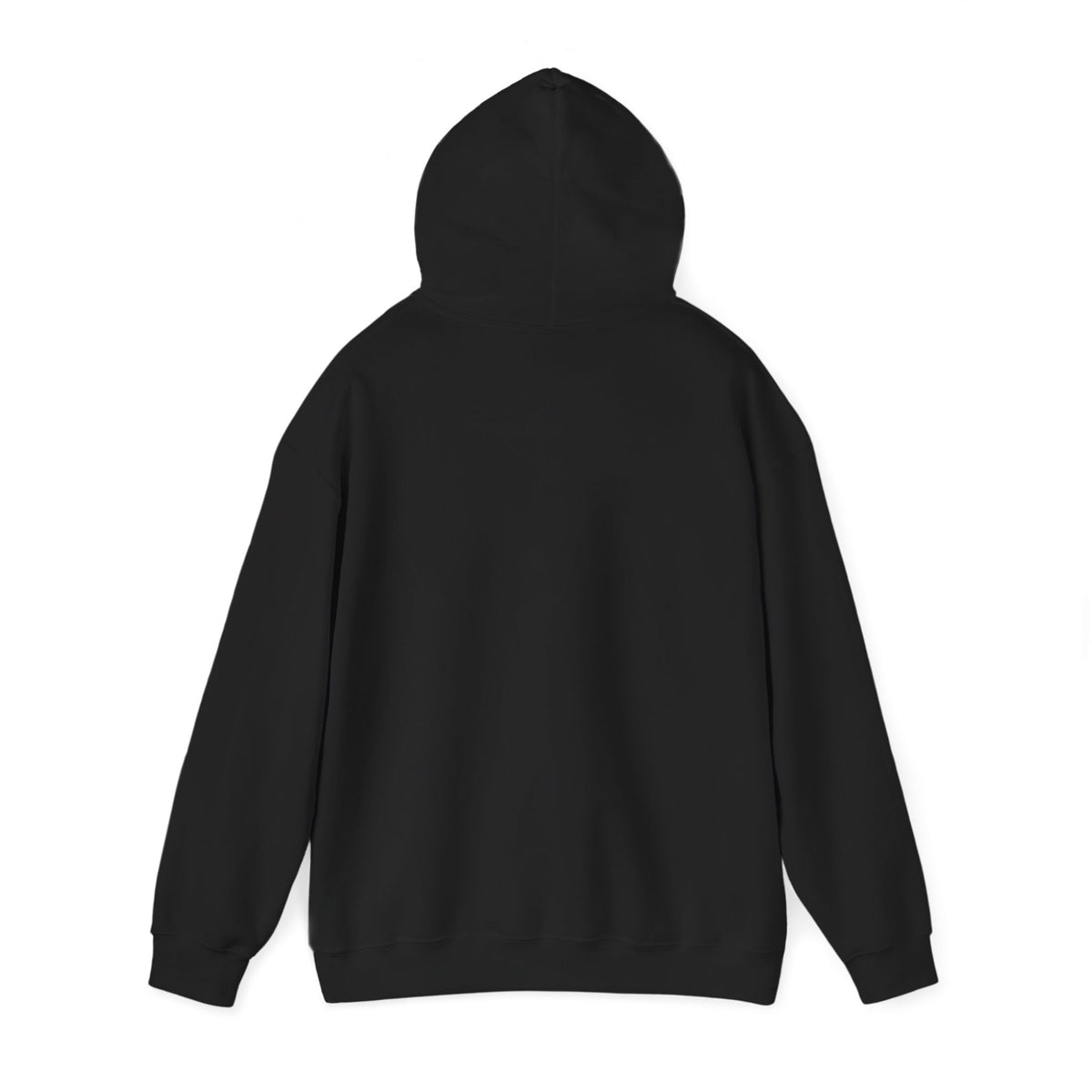 Back of the black Sentinels Hoodie by DJ Orbit One with the hood up