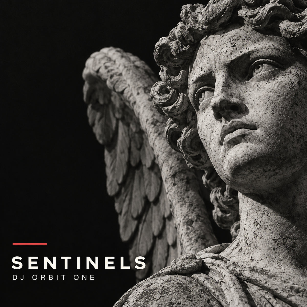 Sentinels